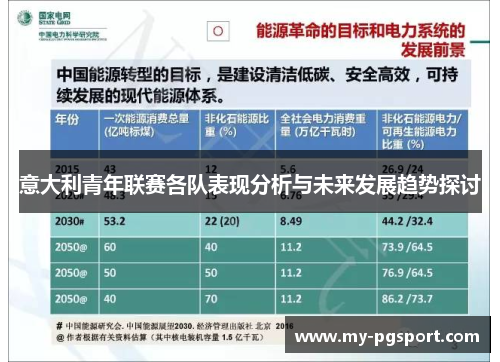 意大利青年联赛各队表现分析与未来发展趋势探讨