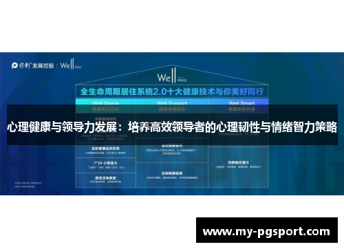 心理健康与领导力发展：培养高效领导者的心理韧性与情绪智力策略