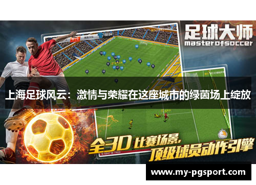 上海足球风云：激情与荣耀在这座城市的绿茵场上绽放