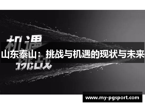 山东泰山：挑战与机遇的现状与未来
