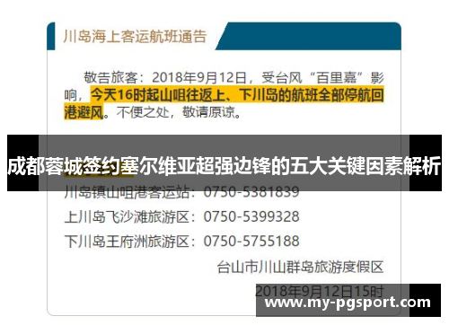 成都蓉城签约塞尔维亚超强边锋的五大关键因素解析