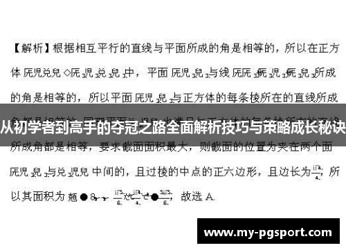 从初学者到高手的夺冠之路全面解析技巧与策略成长秘诀