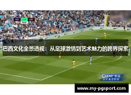 巴西文化全景透视：从足球激情到艺术魅力的跨界探索