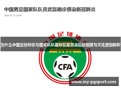 为什么中国足协标志与国家队队徽存在差异背后的制度与文化原因解析