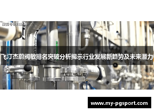 飞汀杰蔚阀敏排名突破分析揭示行业发展新趋势及未来潜力